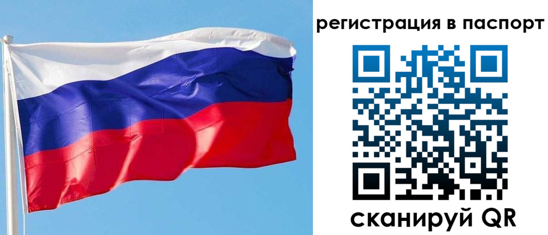 прописка законно в Цимлянске